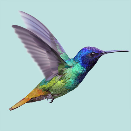 Colibri
